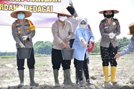 tanam1