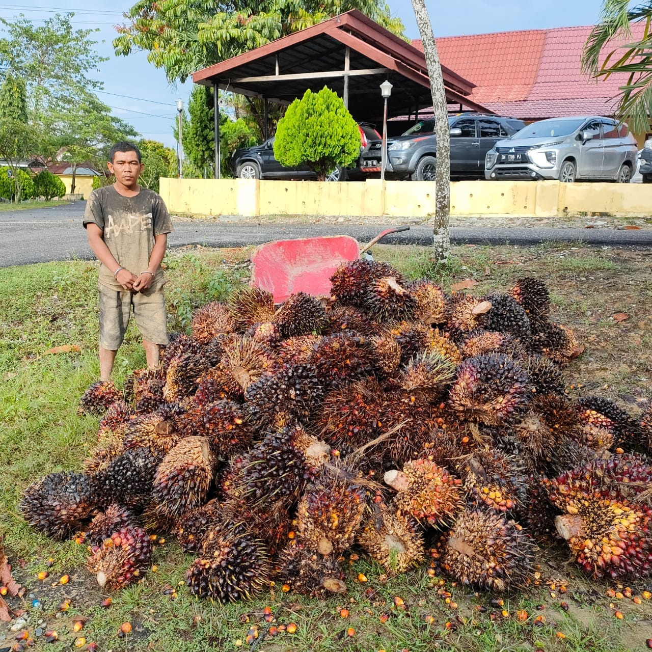 IMG-20211023-WA0007
