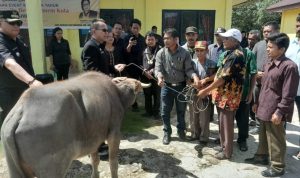IMG-20230209-WA0010