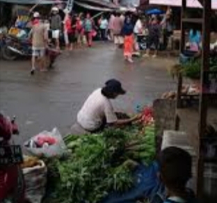 IMG_20240313_123154