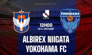 Albirex Niigata vs Yokohama Albirex Niigata vs Yokohama