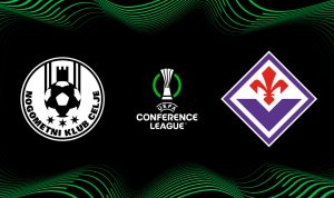 Publikum Celje vs Fiorentina