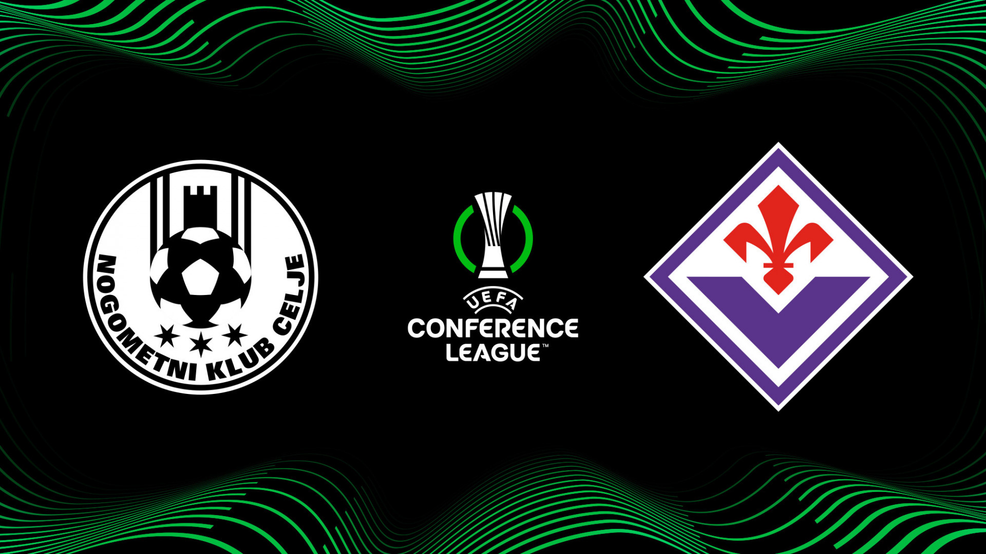 Publikum Celje vs Fiorentina