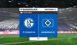 Schalke vs Hamburg