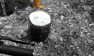 IMG_20260216_151247