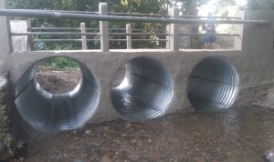 IMG-20260812-WA0037
