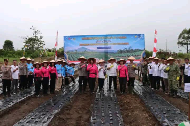 IMG-20260819-WA0052