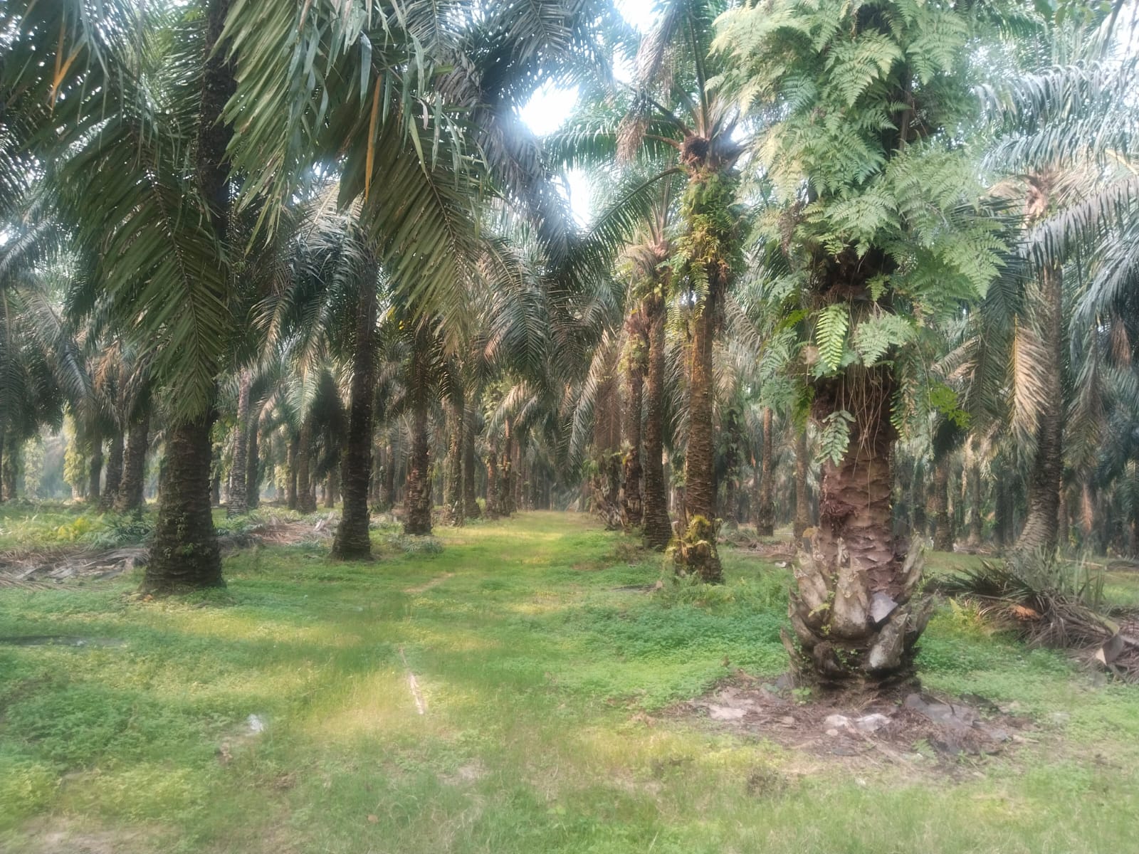 IMG-20260908-WA0049